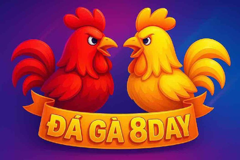 Đá Gà 8Day TT888 - Trải Nghiệm Cá Cược Thú Vị